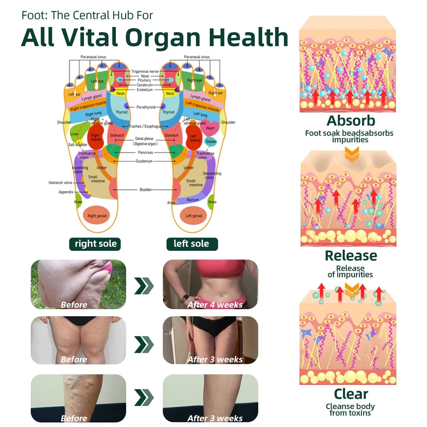 ๐๐๐ง๐๐ญ๐ฎ๐ซ๐โข ๐๐๐ ๐๐๐ง๐จ๐ฆ ๐๐ฅ๐ข๐ฆ๐ฆ๐ข๐ง๐  ๐๐ฒ๐ฆ๐ฉ๐ก๐๐ญ๐ข๐ ๐๐๐ญ๐จ๐ฑ ๐
๐จ๐จ๐ญ ๐๐จ๐๐ค ๐๐๐๐๐ฌ๐ซ- ๐๐๐ฒ๐จ ๐๐ฅ๐ข๐ง๐ข๐ ๐ฑ๐พ๐ผ๐๐๐๐พ๐๐ฝ๐พ๐ฝ(๐๐ซ๐ฎ๐ฌ๐ญ๐๐ ๐๐ฒ ๐จ๐ฏ๐๐ซ ๐ ๐ฆ๐ข๐ฅ๐ฅ๐ข๐จ๐ง ๐๐จ๐ง๐ฌ๐ฎ๐ฆ๐๐ซ๐ฌ ๐ฐ๐จ๐ซ๐ฅ๐๐ฐ๐ข๐๐)